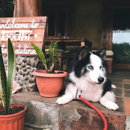 Bodhi Santa Catalina Hostel Exterior photo