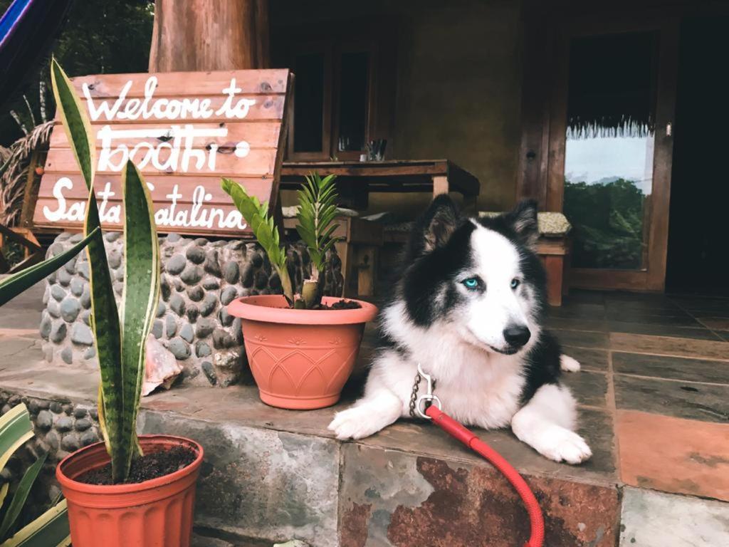 Bodhi Santa Catalina Hostel Exterior photo